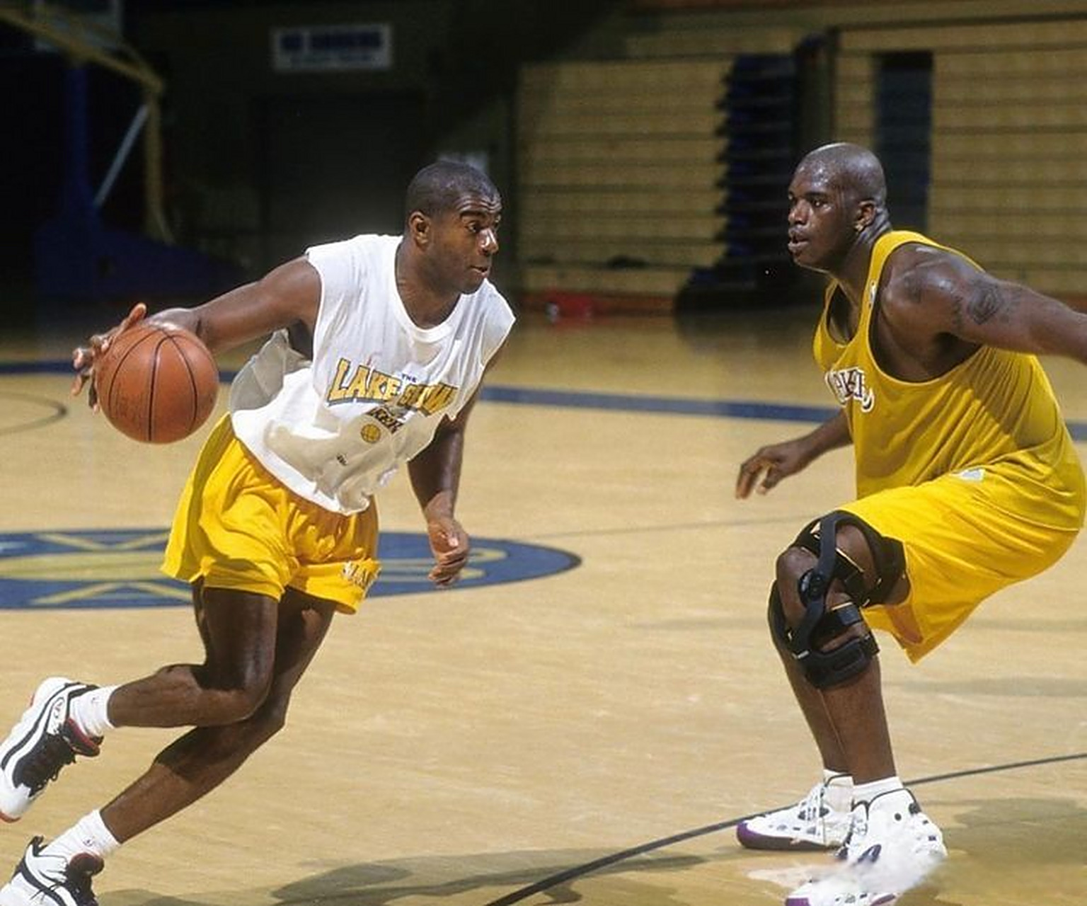 乓球新星表 乓球新星表