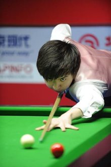 到多条鲹鱼 到多条鲹鱼