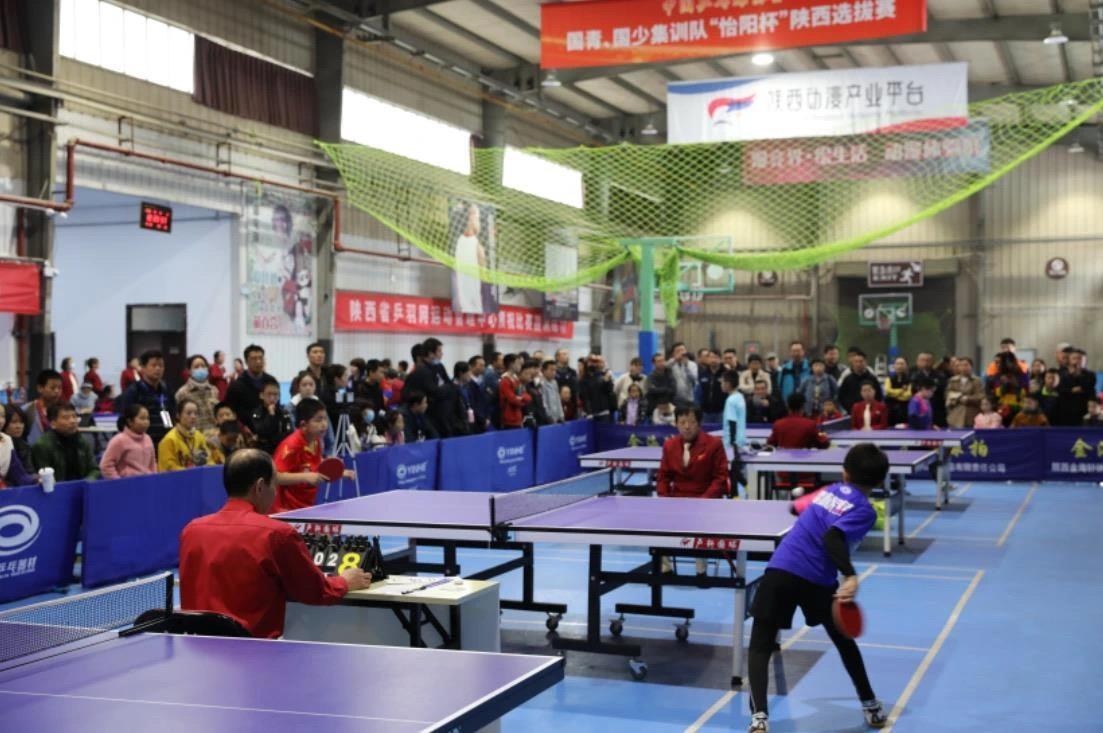 球迷互动活 球迷互动活